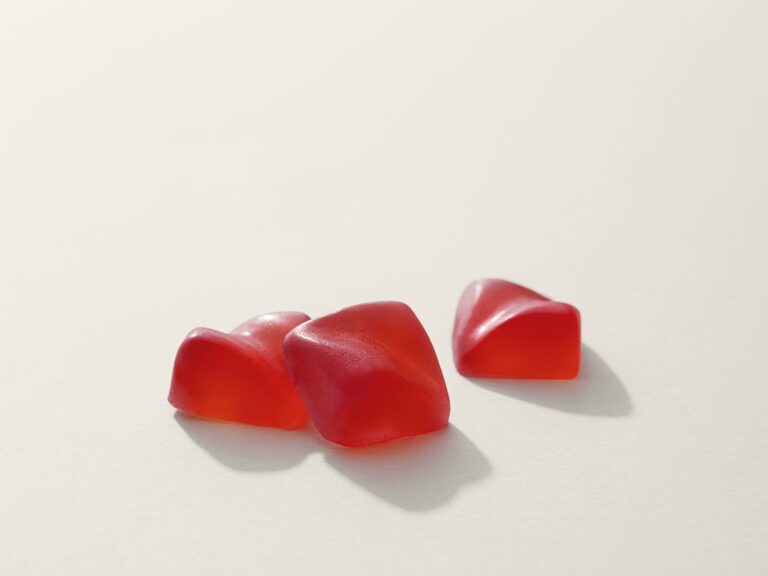 Camino Holiday Punch Gummies - Image 2