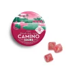 Camino Sours Watermelon Spritz 10mg THC