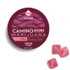 Camino Sours Strawberry Sunset Chill